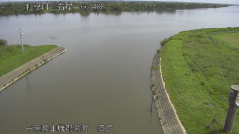 tonsu2026061110_image