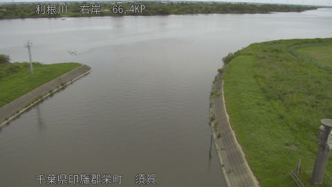 tonsu2026061111_image