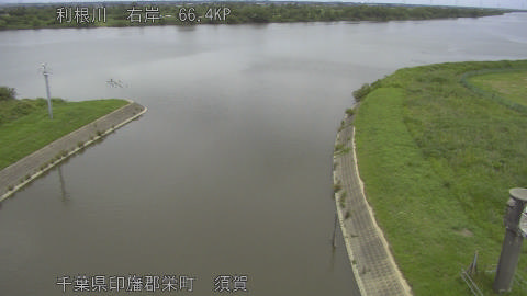 tonsu2026061112_image