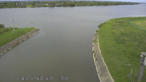 tonsu2026061114_image