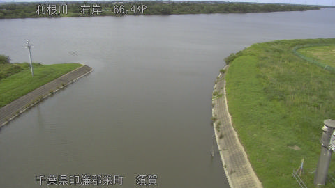 tonsu2026061115_image