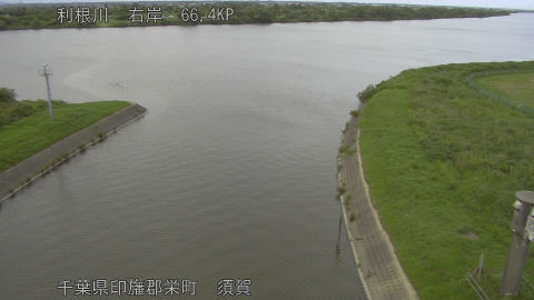 tonsu2026061117_image