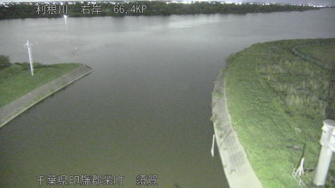 tonsu2026061121_image