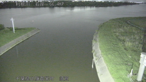tonsu2026061123_image
