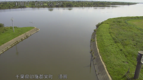 tonsu2026061209_image