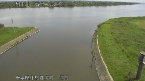 tonsu2026061210_image