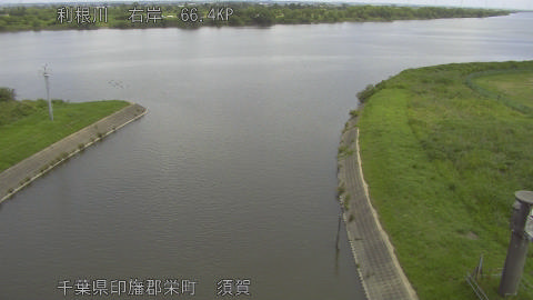 tonsu2026061211_image
