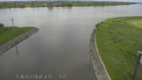 tonsu2026061212_image