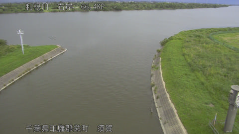 tonsu2026061215_image