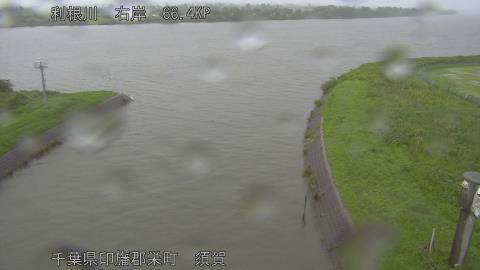 tonsu2026061216_image
