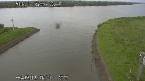 tonsu2026061217_image