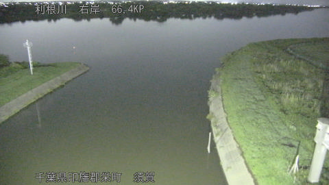 tonsu2026061221_image