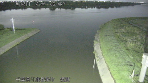 tonsu2026061222_image