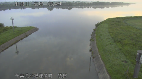 tonsu2026061305_image