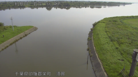tonsu2026061308_image