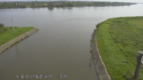tonsu2026061309_image