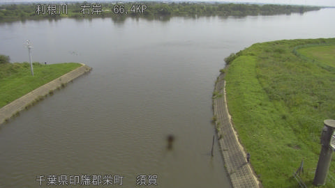 tonsu2026061310_image
