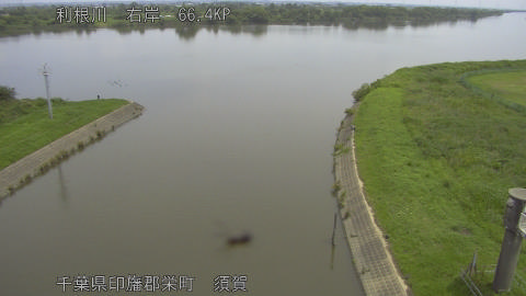 tonsu2026061311_image