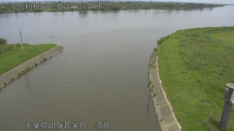 tonsu2026061312_image