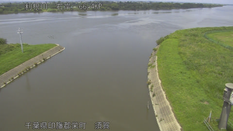 tonsu2026061313_image