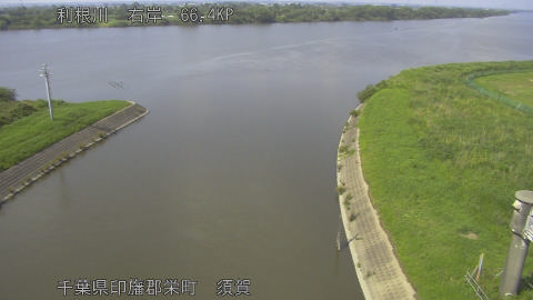 tonsu2026061315_image