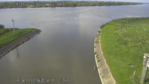 tonsu2026061316_image