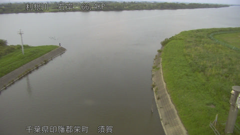 tonsu2026061319_image