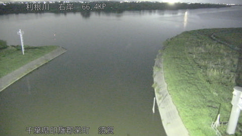 tonsu2026061321_image