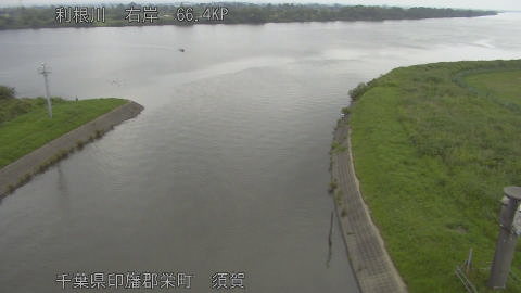 tonsu2026061409_image