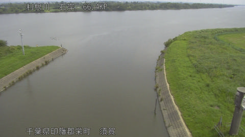 tonsu2026061410_image