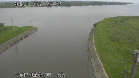 tonsu2026061411_image