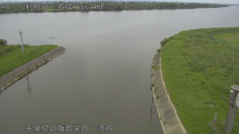 tonsu2026061414_image