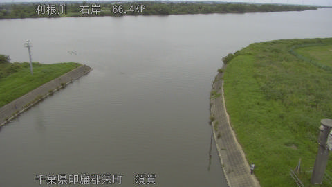 tonsu2026061418_image