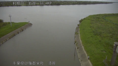 tonsu2026061419_image