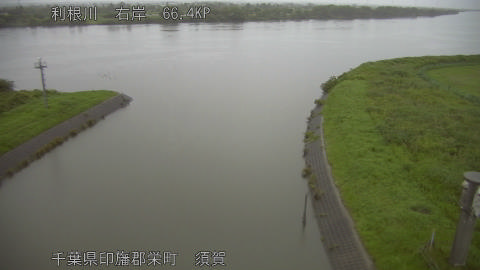 tonsu2026061505_image