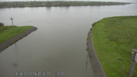 tonsu2026061506_image