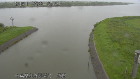 tonsu2026061507_image