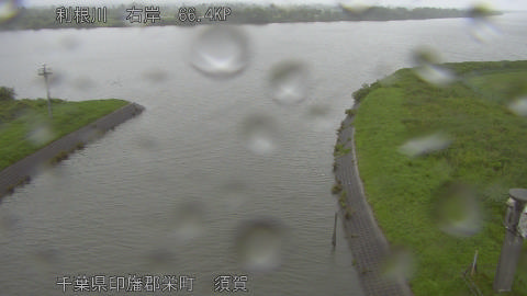 tonsu2026061508_image