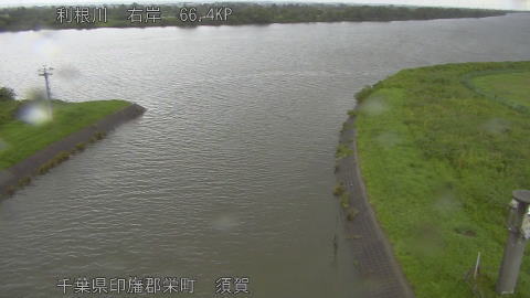 tonsu2026061509_image