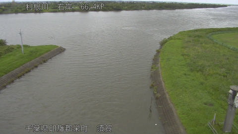 tonsu2026061511_image