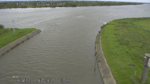 tonsu2026061512_image