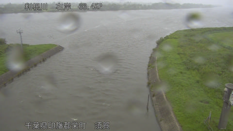 tonsu2026061514_image