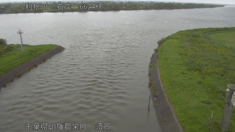 tonsu2026061515_image
