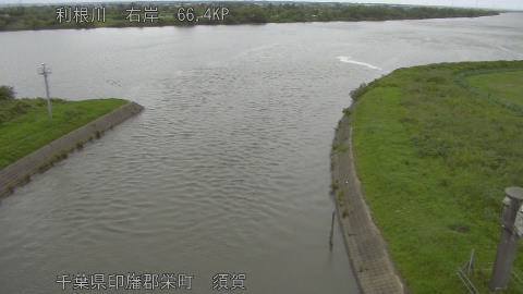tonsu2026061517_image