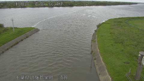 tonsu2026061518_image