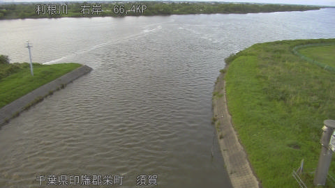 tonsu2026061519_image