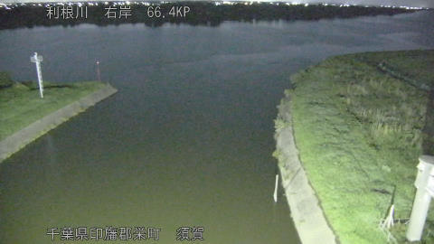 tonsu2026061523_image