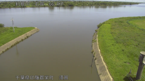 tonsu2026061611_image