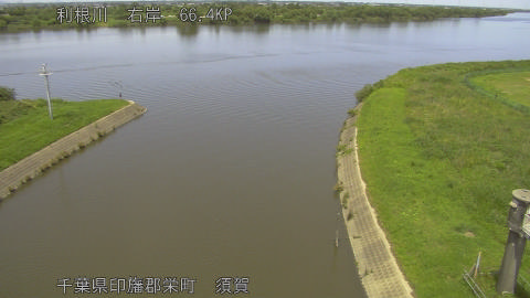 tonsu2026061613_image