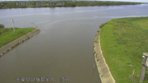 tonsu2026061614_image